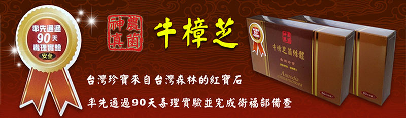 台灣牛樟芝