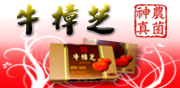 台灣牛樟芝